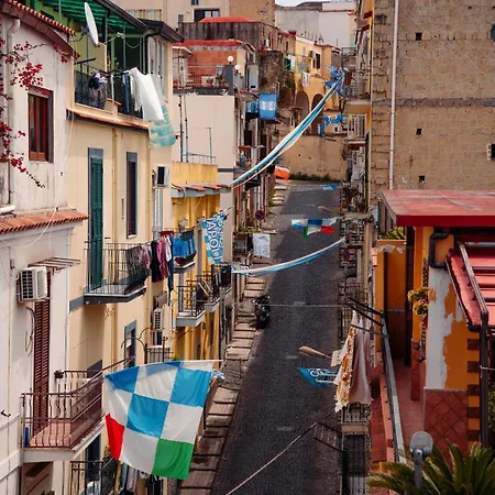 Elegant - & Minimal Design